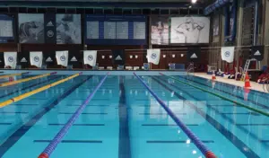 Bassin d'une piscine olympique